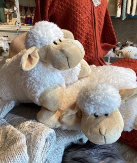 Kussenschaap