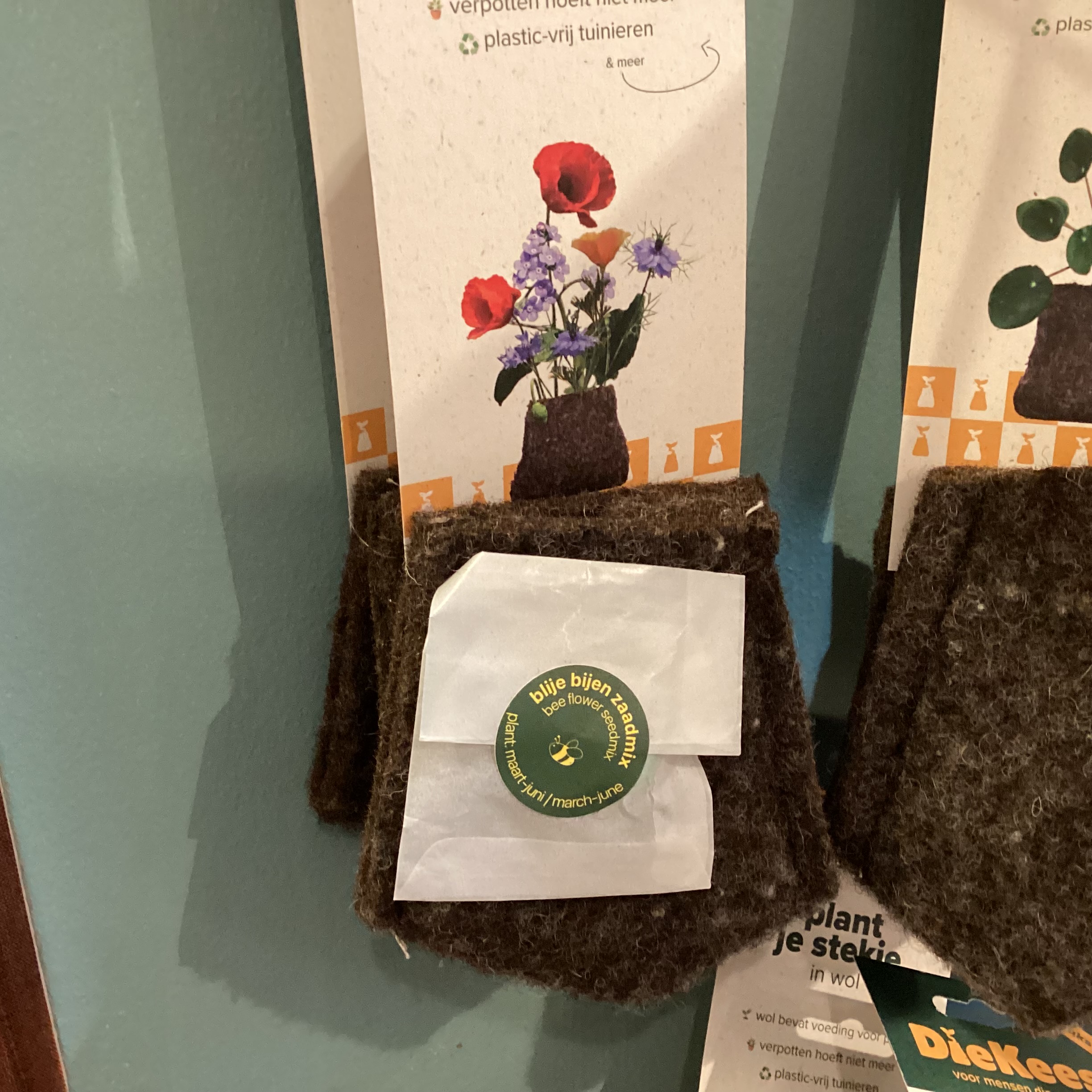 Wollen stekpotjes - Afbeelding 3