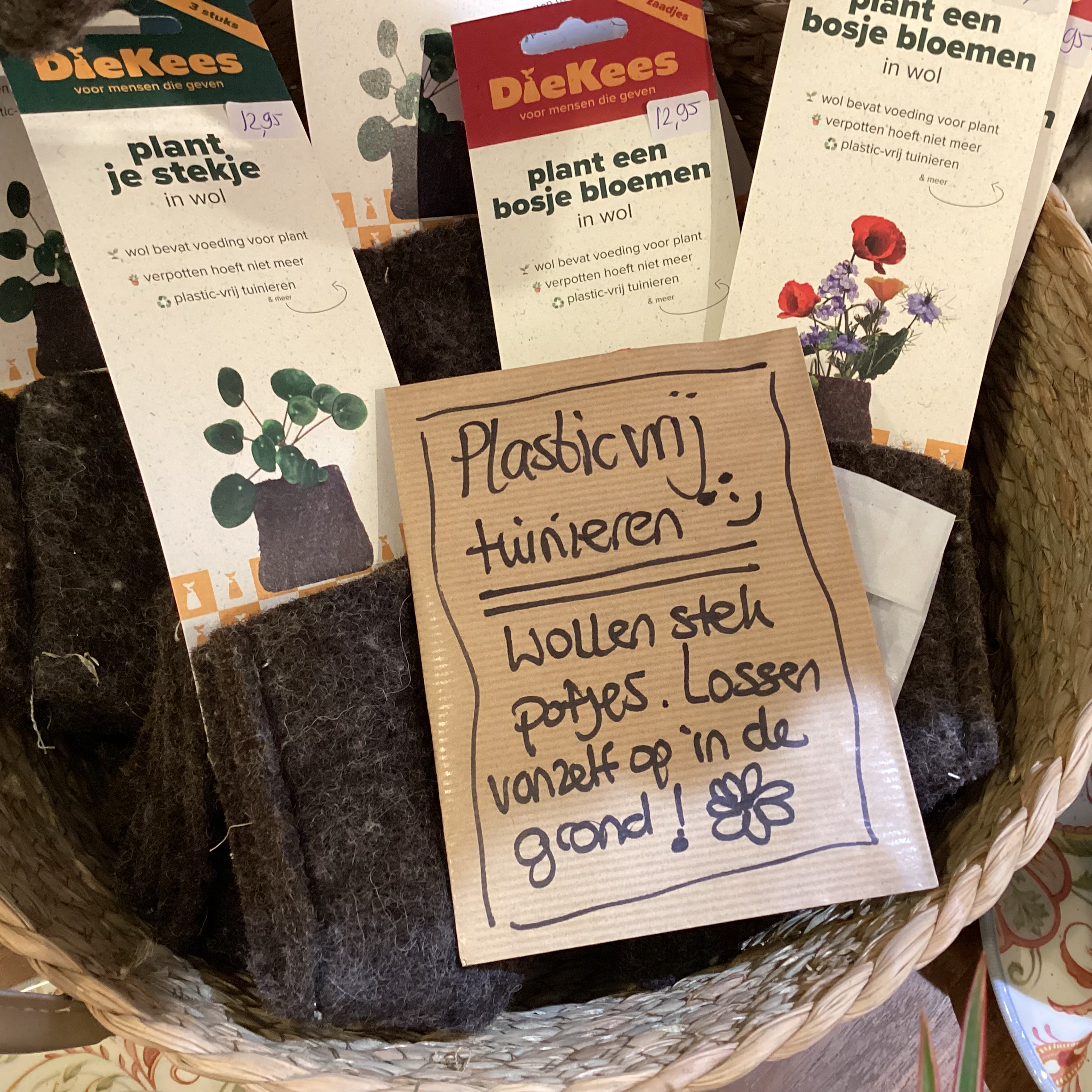 Wollen stekpotjes - Afbeelding 2